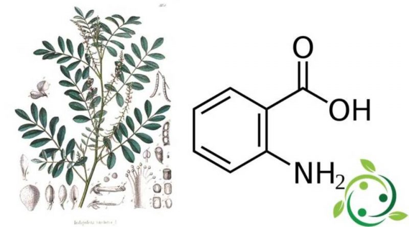 Acido Antranilico