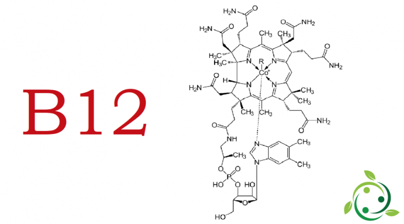 Cobalamina