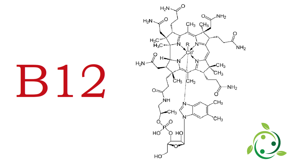 Cobalamin: formula, occurrence in nature, deficiency, excess
