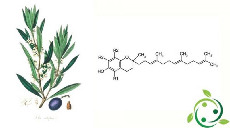 Tocoferolo