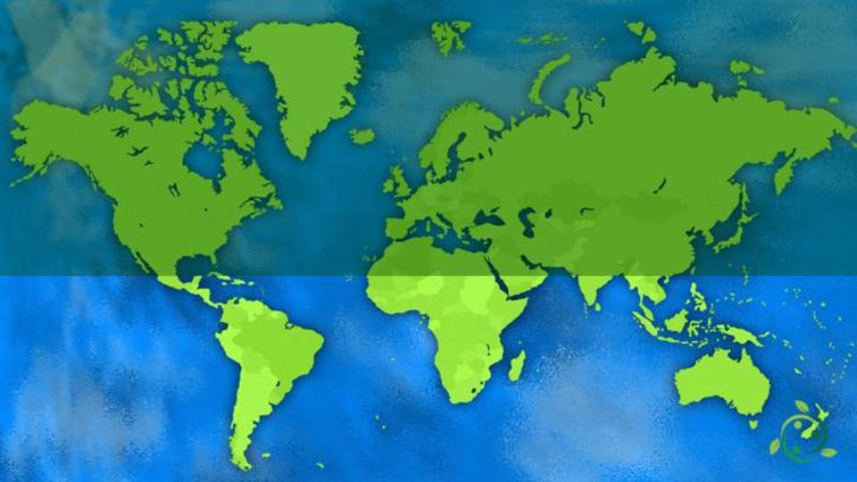 Holarctic meaning, definition, geographical limits, ecozone