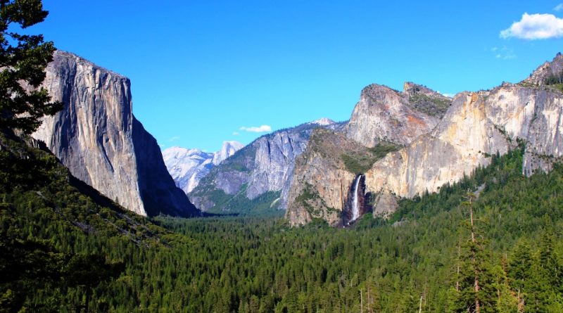 Parco nazionale di Yosemite