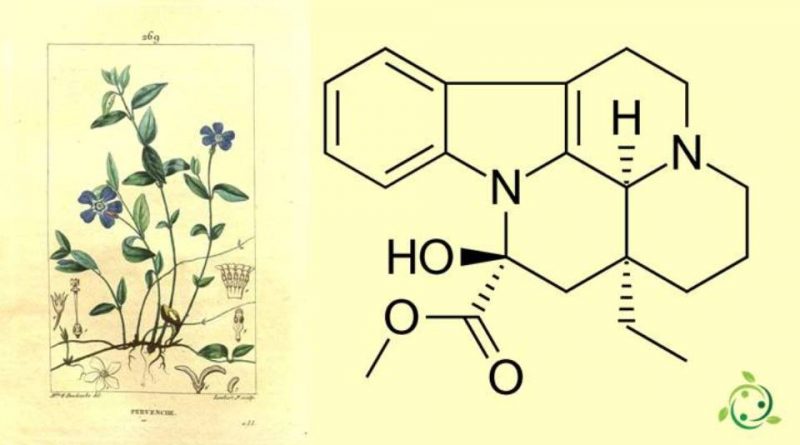 Vincamine: formula, properties, occurrence in nature, use