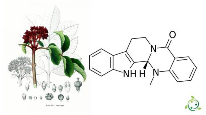 Evodiamina