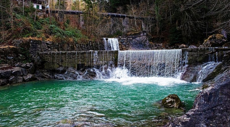 C’erano una volta i pesci di acqua dolce