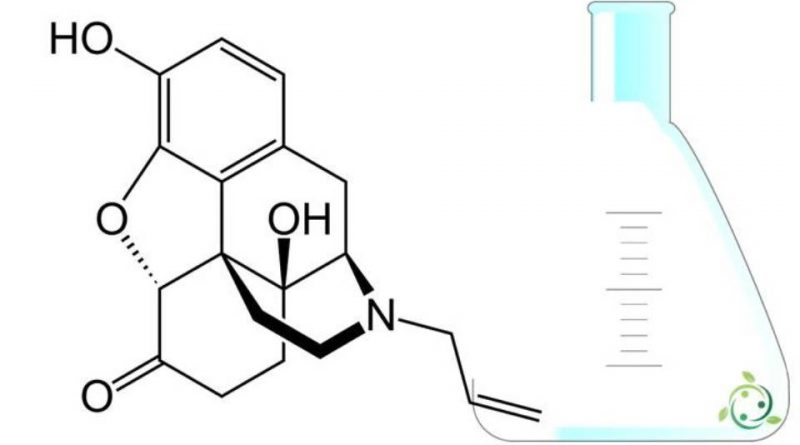 Naloxone