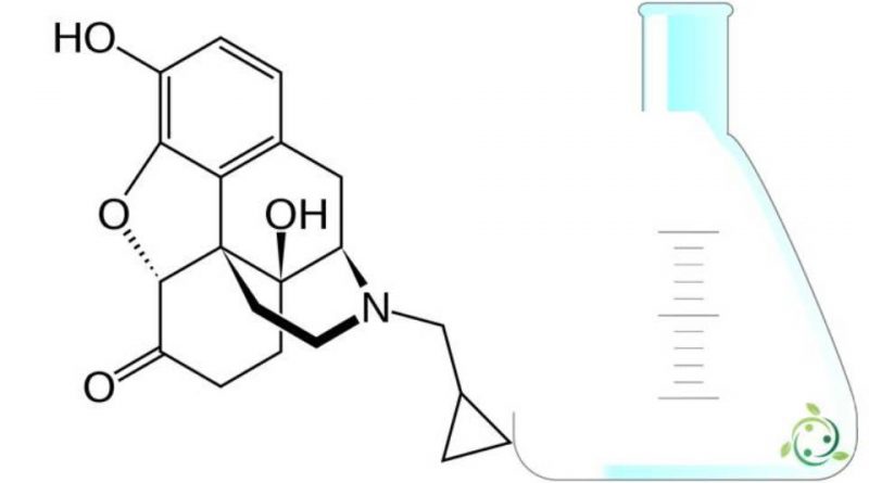 Naltrexone