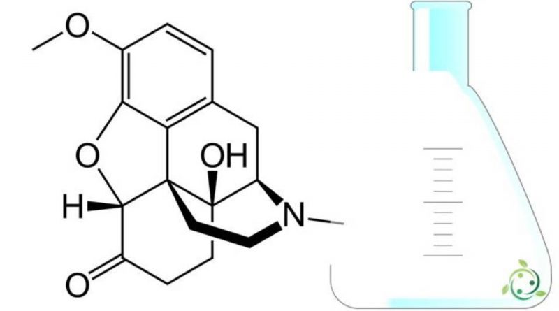 Ossicodone