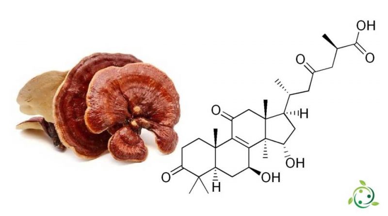 Acido ganoderico