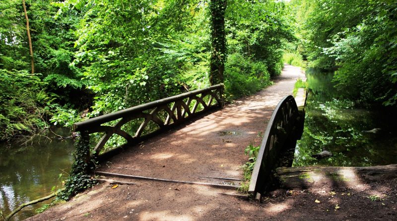 Facciamo rientrare la Natura in Città