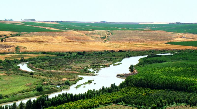 I Sumeri e l’agricoltura