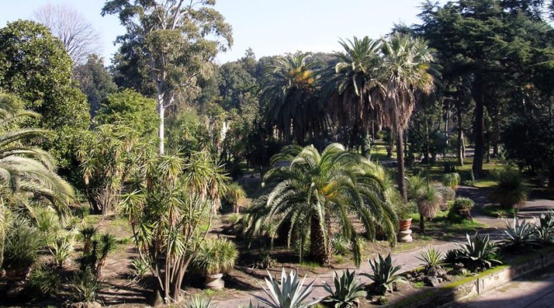 Orto botanico di Portici