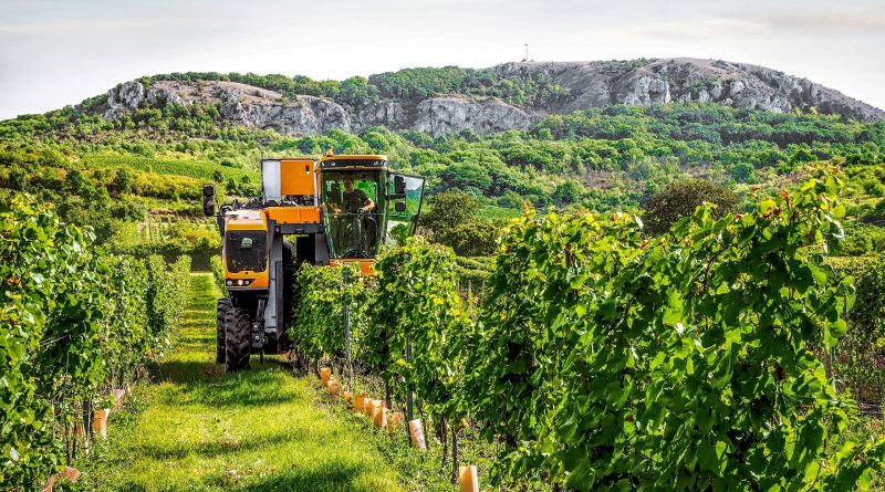 Verso le aziende agricole a zero emissioni