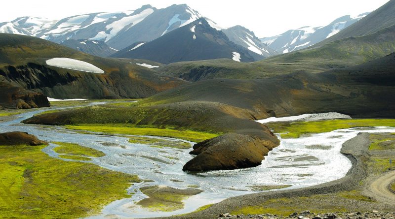 Clima subartico: Temperatura, piovosità, zone geografiche, flora, fauna