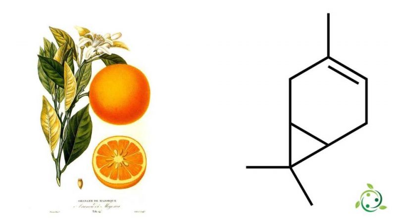 Δ-3-carene