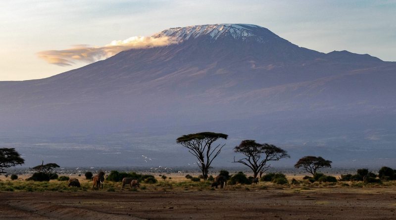 Clima della savana