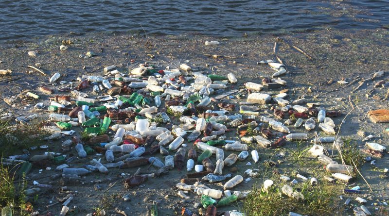 Quanto ci costa l’acqua in bottiglia