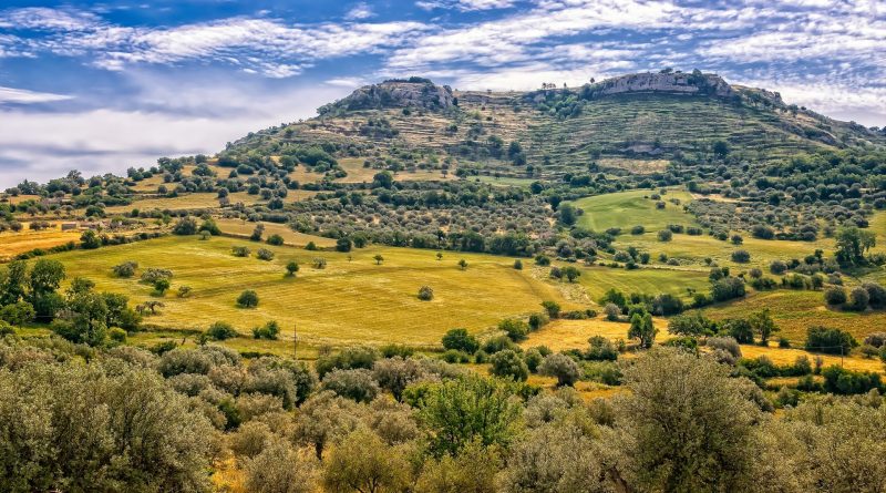 Il riconoscimento all’Agroecologia adesso è legge