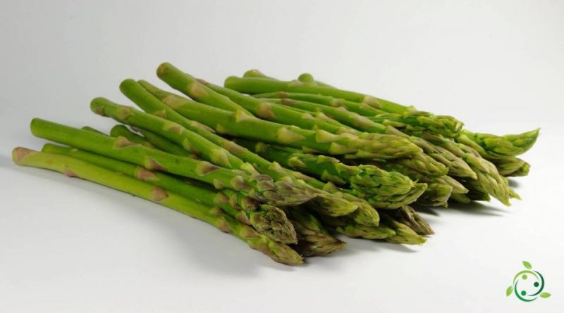 Valore nutrizionale degli Asparagi