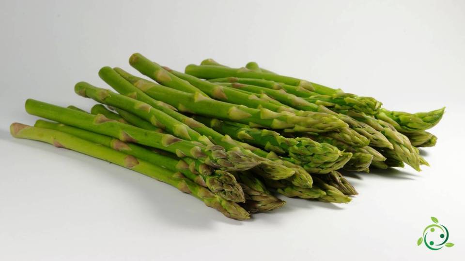 Nutritional value of Asparagus Characteristics, Properties