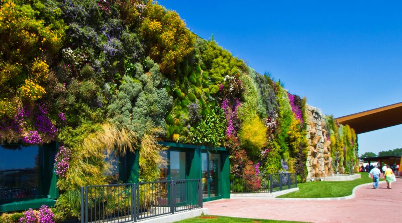 Giardino verticale