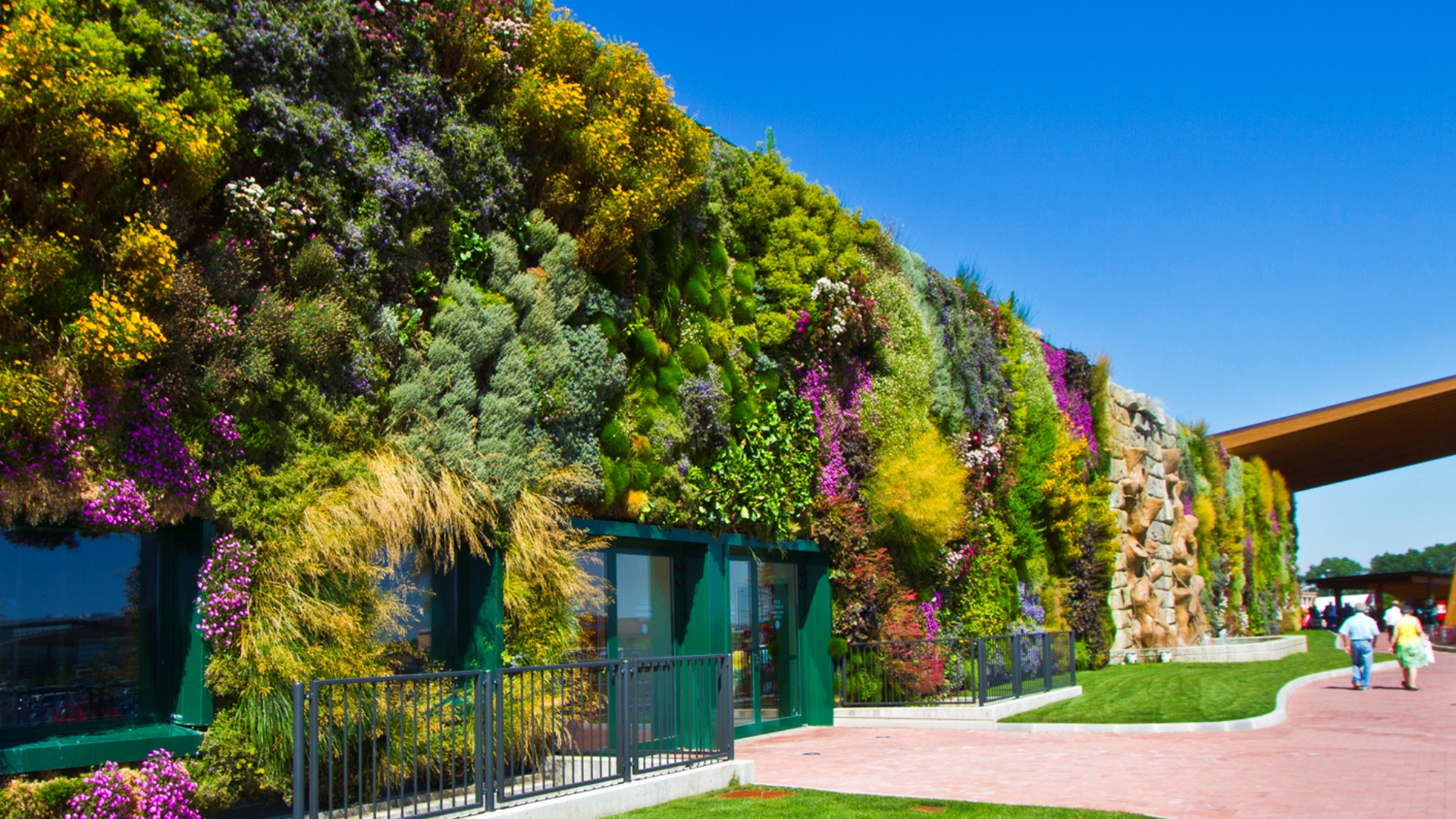 Vertical garden definition, history, technique, plants, advantages