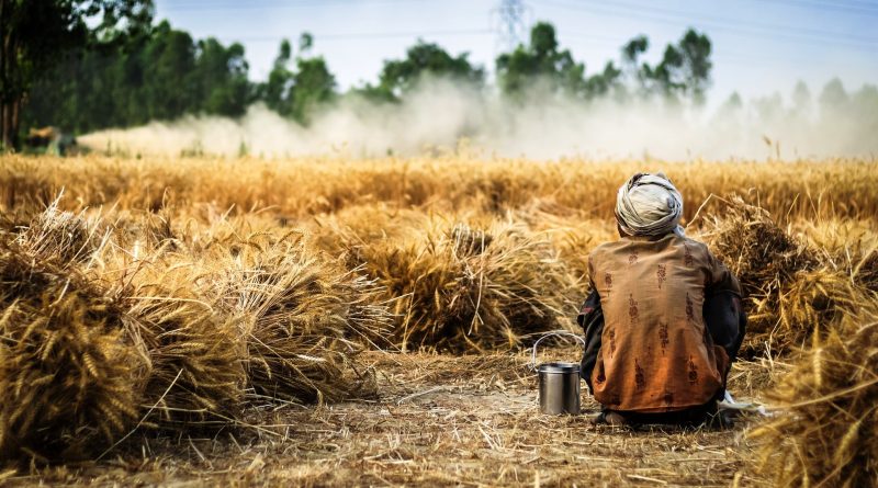 La Farm to Fork faccia tesoro della Legge Siciliana