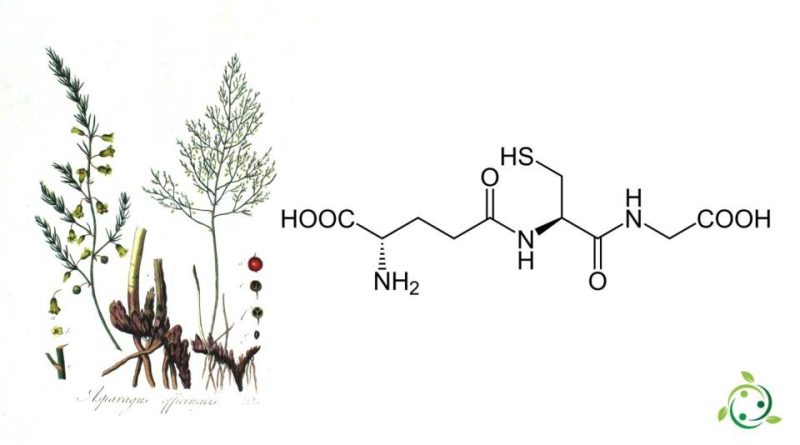 Glutatione