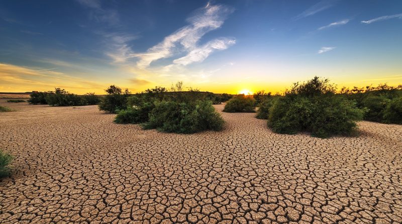 Tutelare il suolo per salvaguardare la Vita