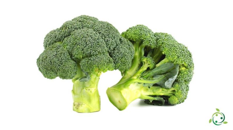 Valore nutrizionale del Broccolo