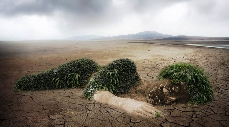 Ecologia tra cielo e terra