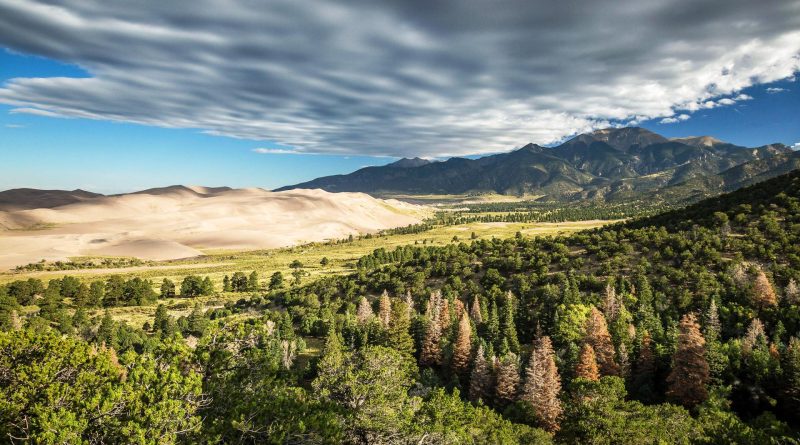 Flora e fauna del Parco nazionale e riserva delle grandi dune di sabbia
