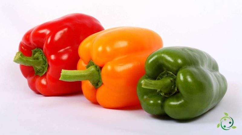 Valore nutrizionale del peperone dolce