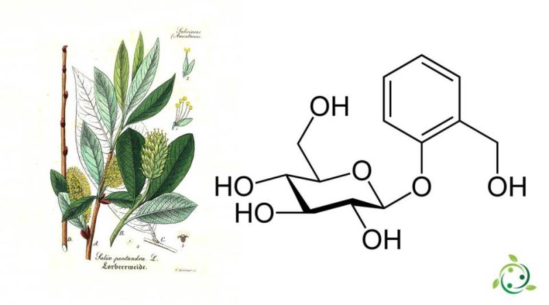 Glicosidi