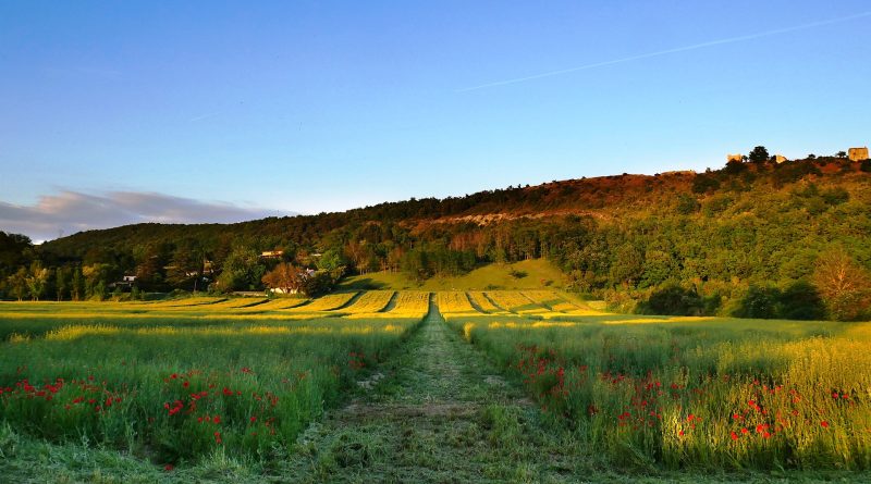 Base Scientifica dell’Agroecologia