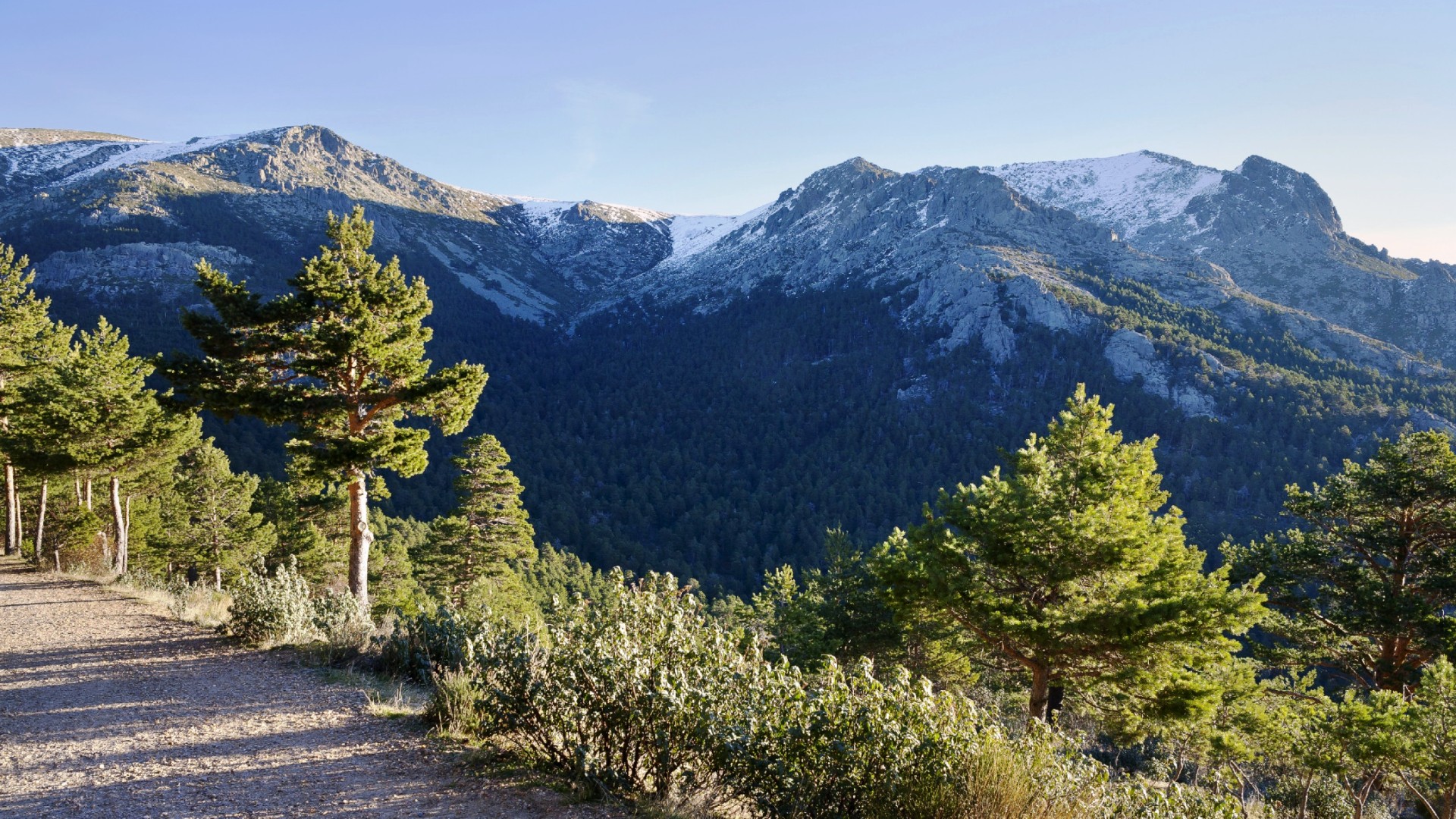 Parque Nacional Sierra de Guadarrama: clima, flora, fauna...