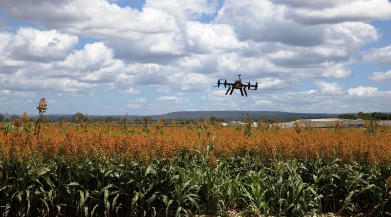 Agricoltura di precisione