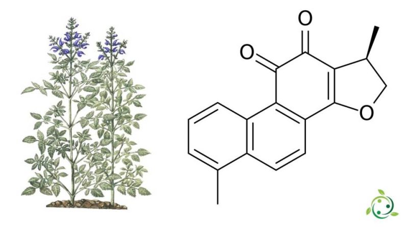 Diidrotanshinone I