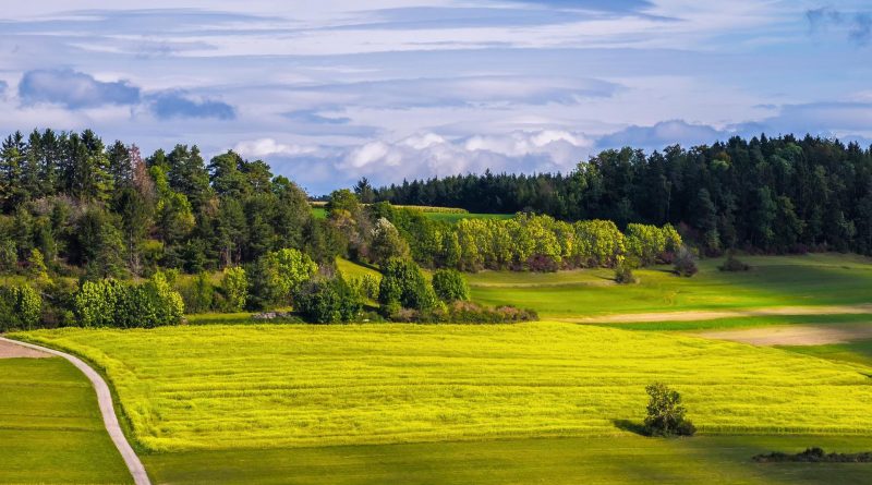 C’era una volta l’agricoltura