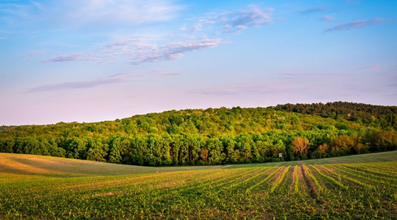 Disponibilità dei fosfati e minacce per la produzione agricola