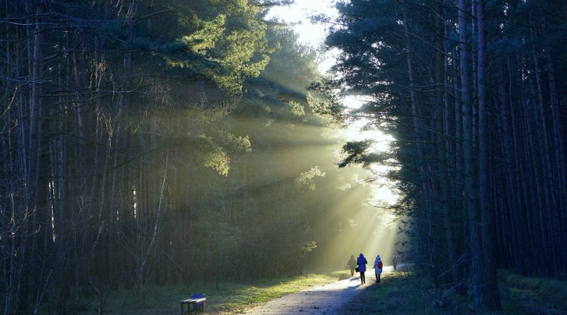 Mens sana in corpore sano