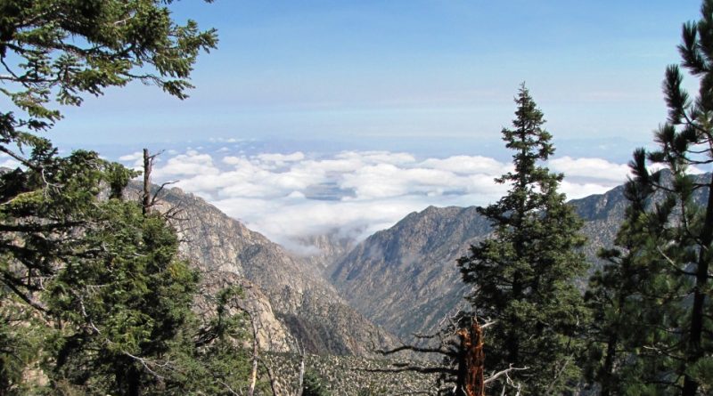 Parco Nazionale della Sierra de San Pedro Mártir