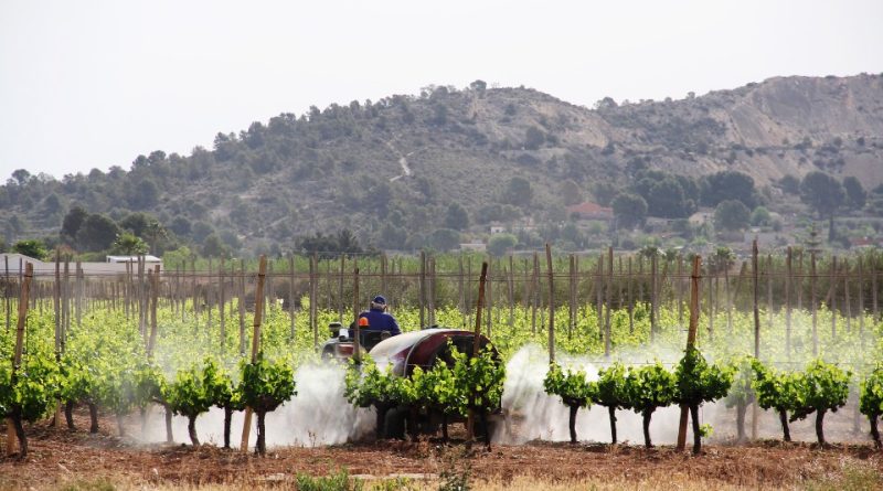 In Europa aumenta il divario tra obiettivi al 2030 e uso di Pesticidi