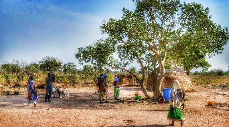 Gli Akan e l’agricoltura