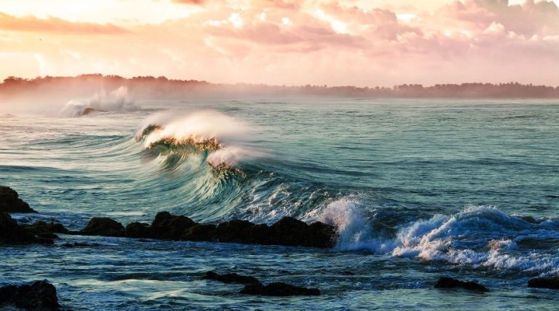 Acidificazione degli oceani