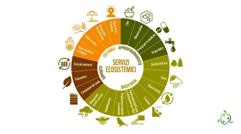 Servizi ecosistemici