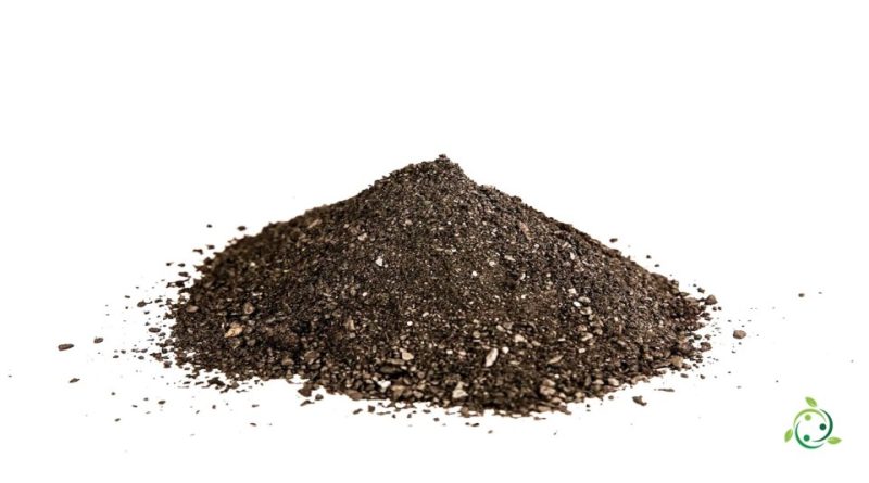 Biochar