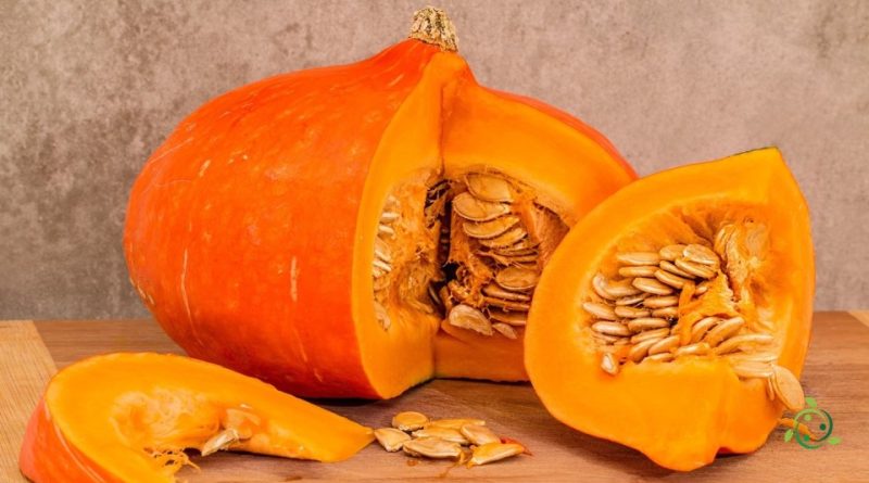 Valore nutrizionale della Zucca