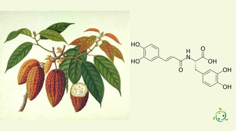 Clovammide