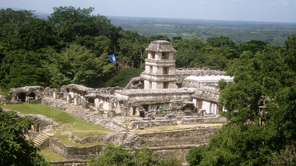 Palenque National Park: geography, climate, flora, fauna ...